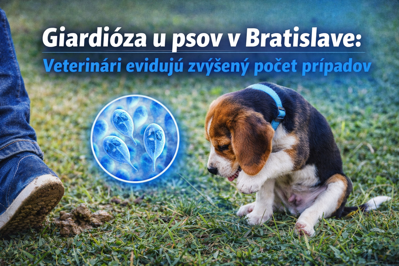 giardioza